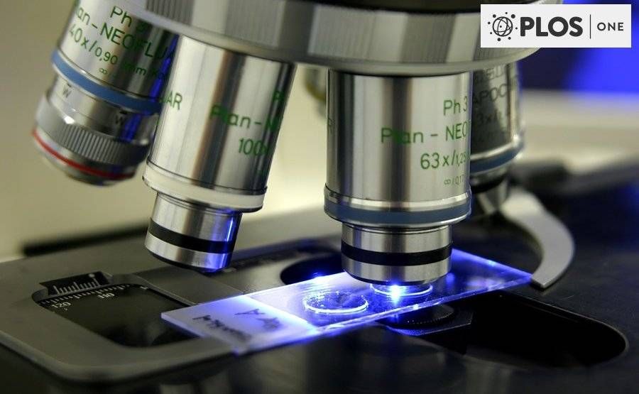 HIV και HPV «συνωμοτούν» υπέρ του καρκίνου