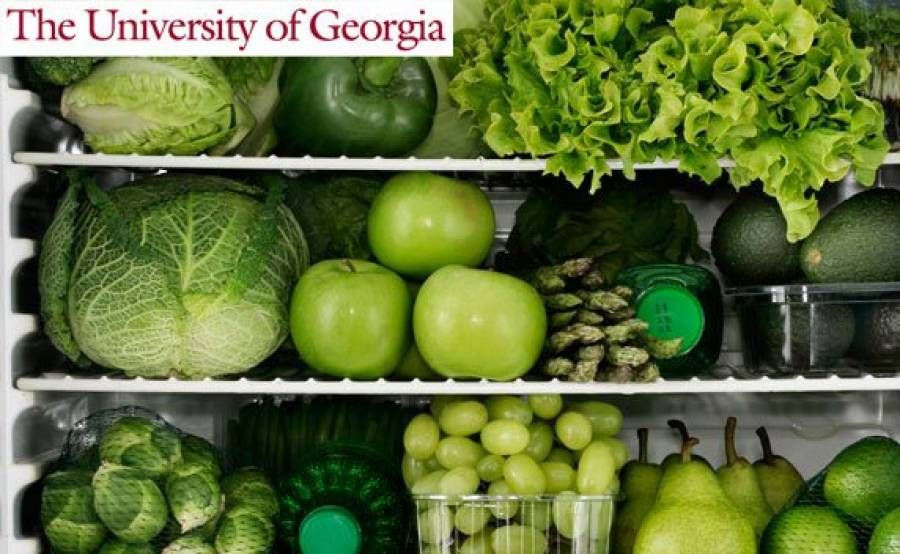 Η θρεπτική αξία των φρούτων διατηρείται καλύτερα στην κατάψυξη