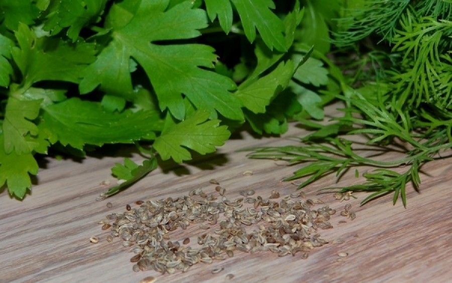 Δύο μυρωδικά με ισχυρή αντικαρκινική δράση