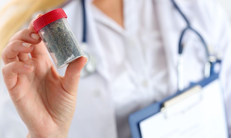 Χρήσιμη η ιατρική κάνναβη στη χημειοθεραπεία, στους χρόνιους πόνους και στην πολλαπλή σκλήρυνση
