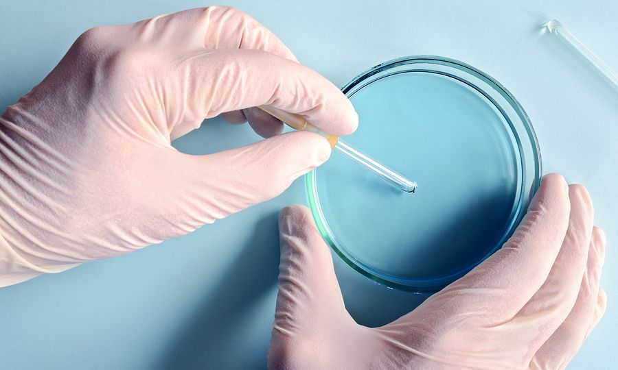 Νέες προοπτικές στην ανάπτυξη νέας γενιάς αντιβιοτικών από το Ίδρυμα Τεχνολογίας και Έρευνας