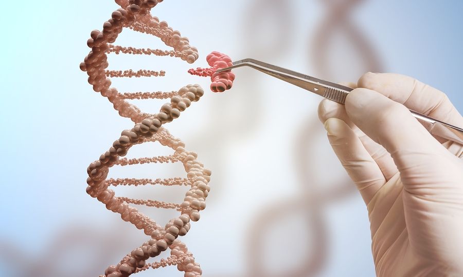 Περισσότερες μεταλλάξεις κληροδοτούν οι πατέρες στα παιδιά παρά οι μητέρες