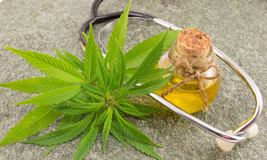 Balkannabis Expo 2018: Τον Ιούνιο η Διεθνής Έκθεση για την ιατρική & βιομηχανική κάνναβη