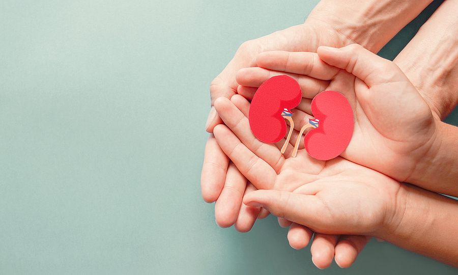 Παγκόσμια Ημέρα Δωρεάς Οργάνων: Από έναν δότη μπορεί να σωθούν έως και 8 ζωές