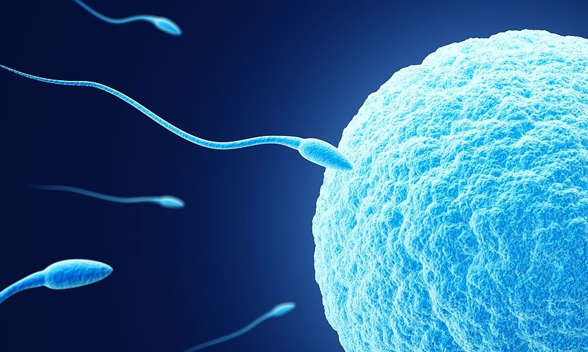 Κατάψυξη ωαρίων: Μια απλή διαδικασία που ξεπερνά τους φυσικούς φραγμούς της γονιμότητας