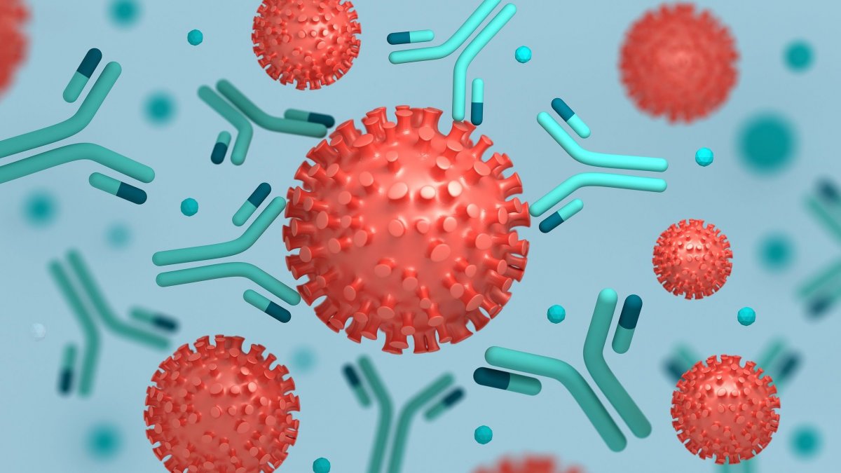 CDC: Η πλειονότητα των Αμερικανών έχουν αντισώματα έναντι του κορονοϊού από προηγούμενη μόλυνση