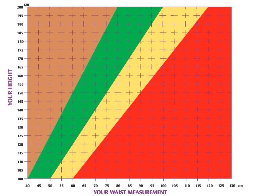 waist chart
