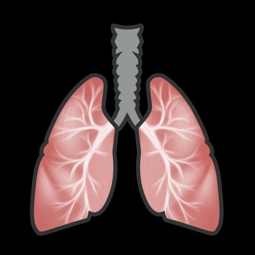 20Lungs