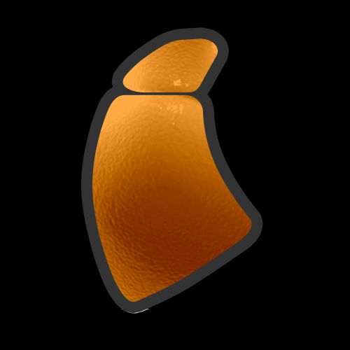 7Liver