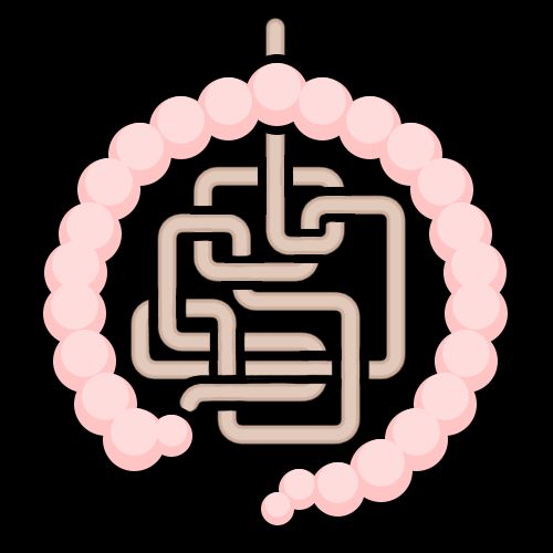 9Intestines