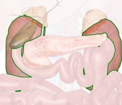 kidneys