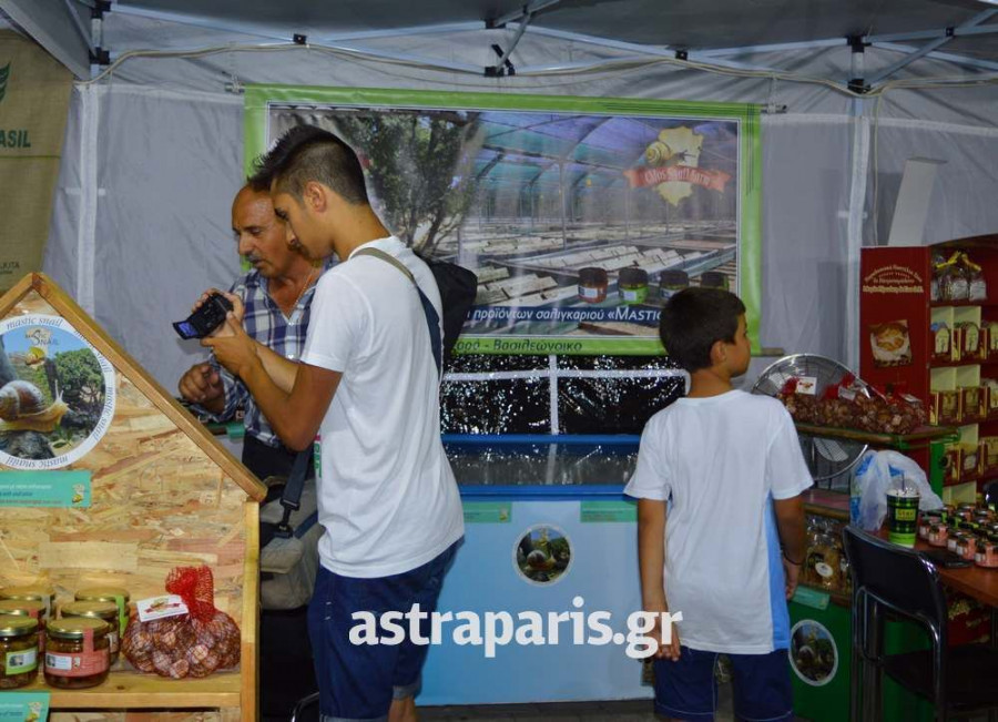 saligaria