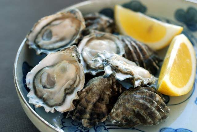 oysters