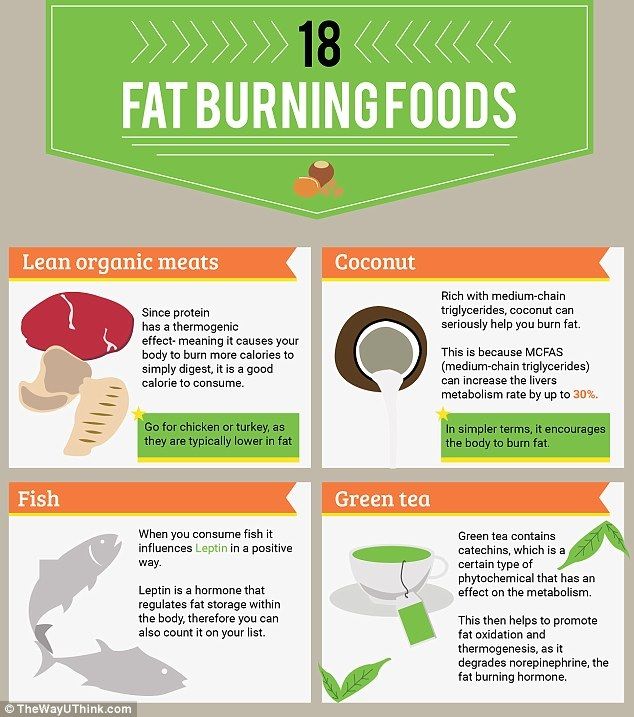fat burning foods 1