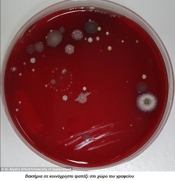 office table germs