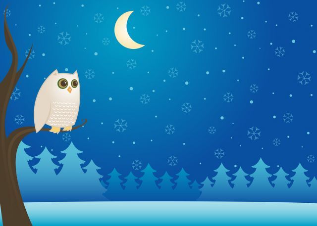 bigstock Snowy Winter Owl 1033250
