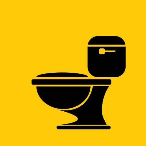 bigstock vector Toilet symbol toilet s 88859318