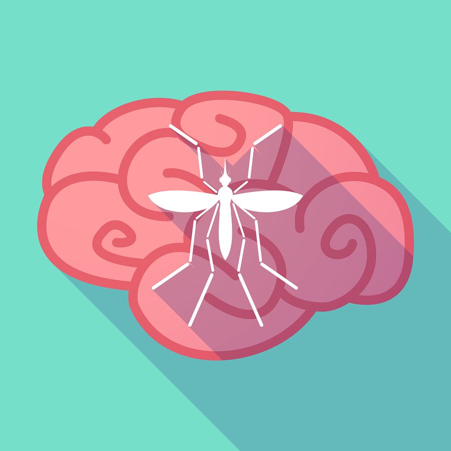 bigstock Zika Virus Bearer Mosquito In 117815735