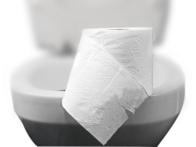 bigstock toilet paper 40694512