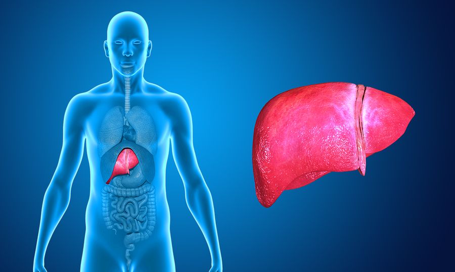 bigstock Liver 68924812