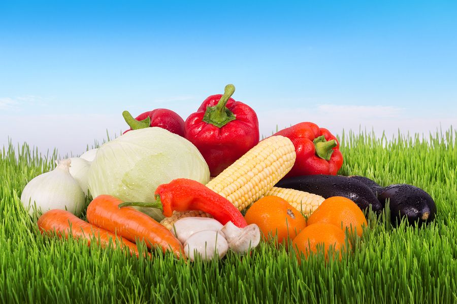 bigstock Fresh Vegetables On The Green 100161953