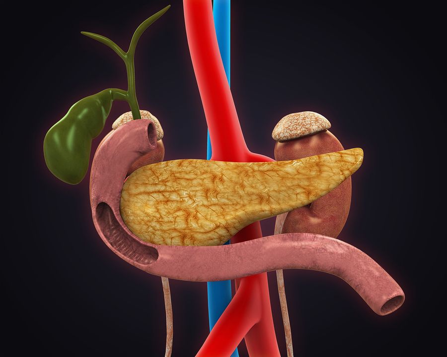 bigstock Pancreas Gallbladder and Duod 67905793