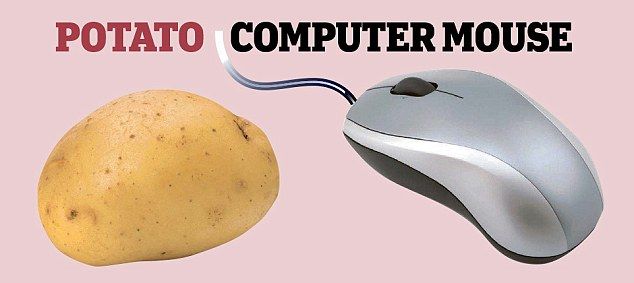 33D846FC00000578 0 image a 63 1462398909163