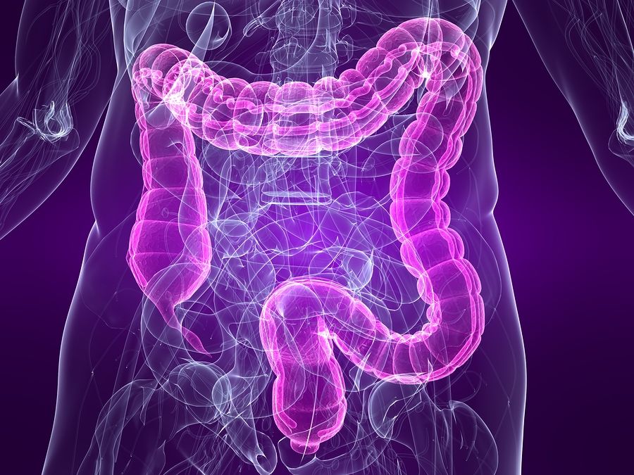 bigstock Highlighted Colon 3695864