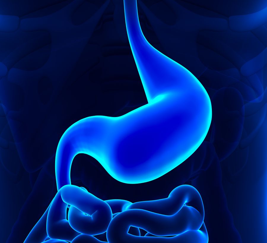 bigstock Empty Stomach Healthy 59883593