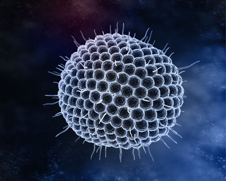 bigstock Varicella Zoster Virus 98096807