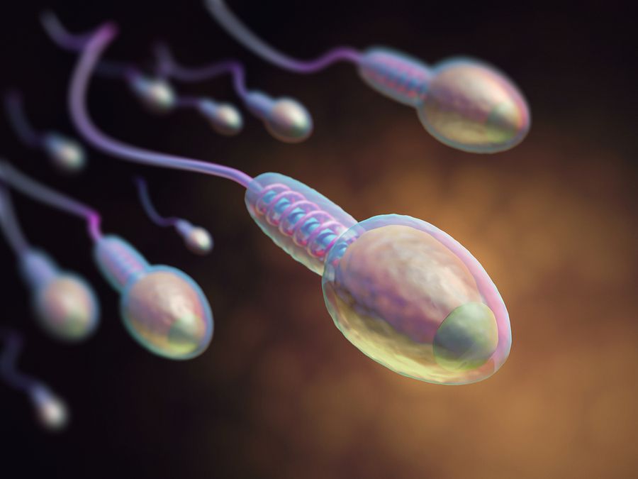 bigstock Human Reproduction 113394368