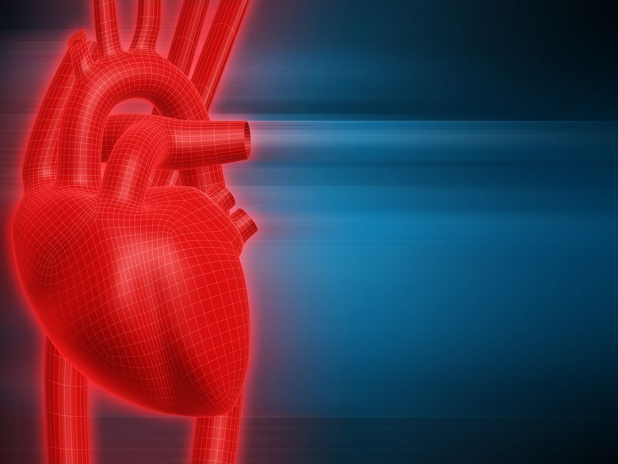 bigstock Human Heart 1865623