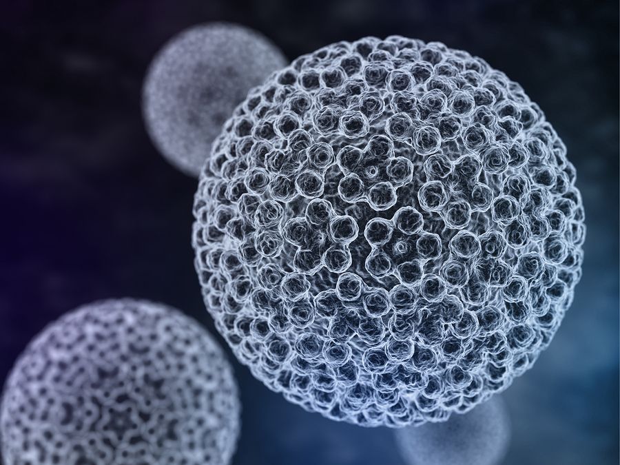 bigstock Papilloma Virus Hpv 96761786