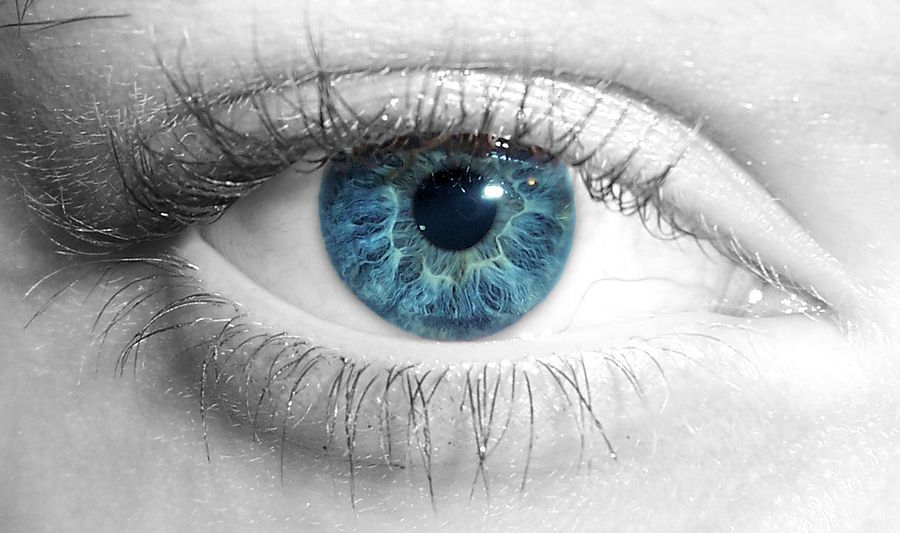 bigstock Blue Eye 798282