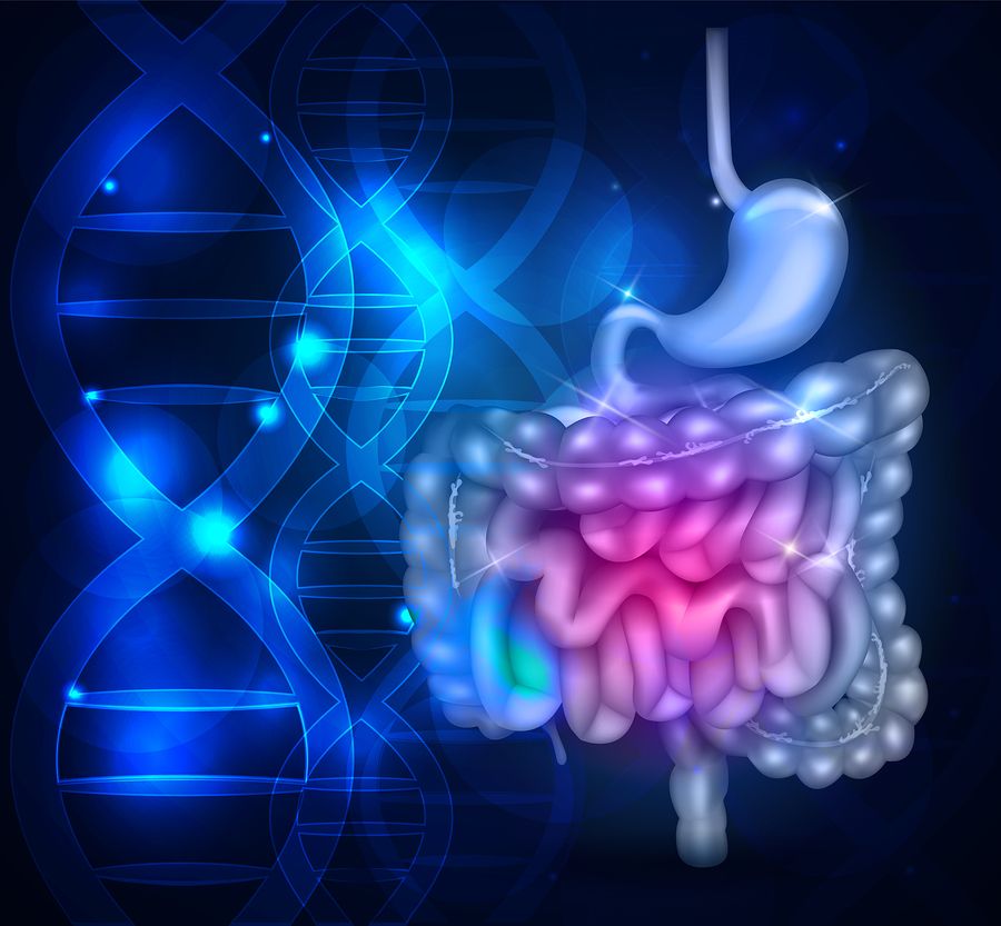 bigstock Bowels And Stomach Abstract Sc 131120819