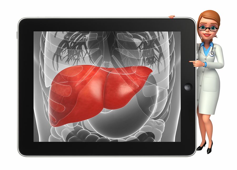 bigstock Young Doctor With Liver Anato 106283504