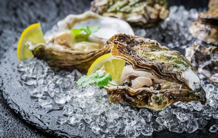 oysters