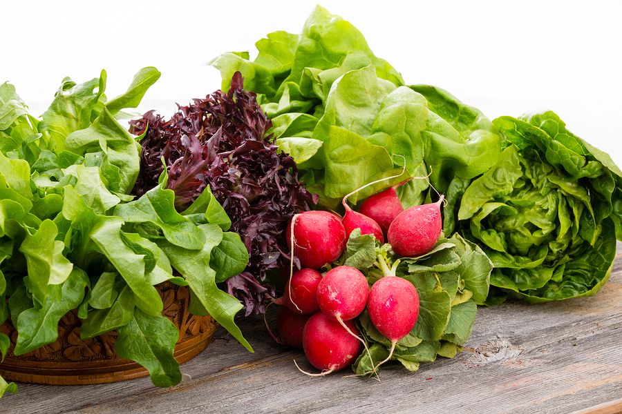 bigstock Healthy Fresh Salad Ingredient 60097289