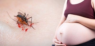 bigstock Zika Pregnancy Fear Medical Co 147395576