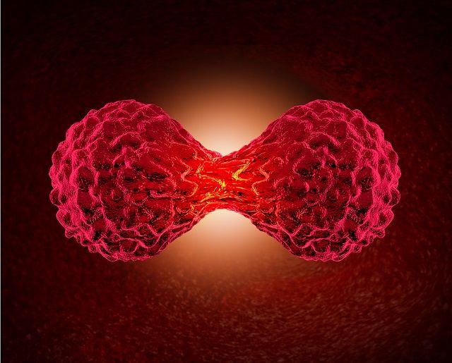 bigstock Cancer Cell Dividing 94076120