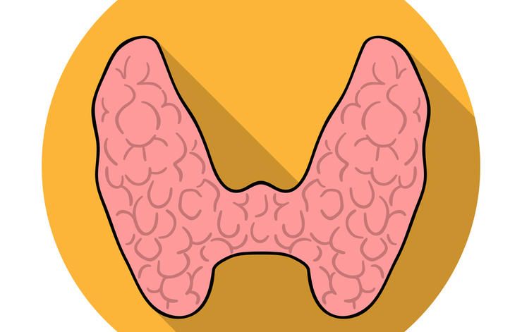 shutterstock 555378955 thyroid problems panda vector
