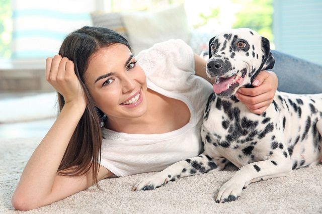 bigstock Owner with her dalmatian dog l 141562004