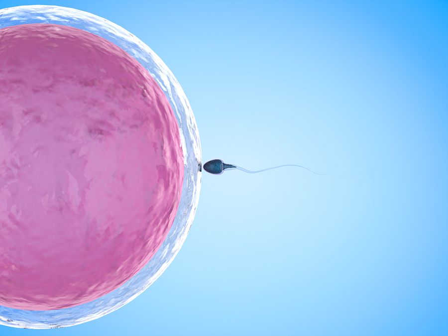sperm