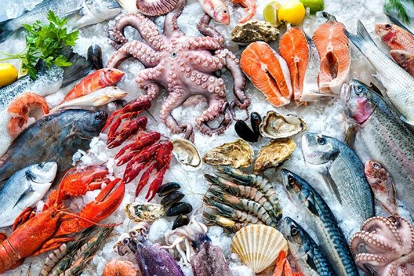 bigstock Seafood on ice at the fish mar 125347649