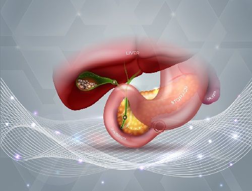 bigstock Stones In The Gallbladder And 161717132
