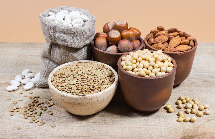 proteins plants