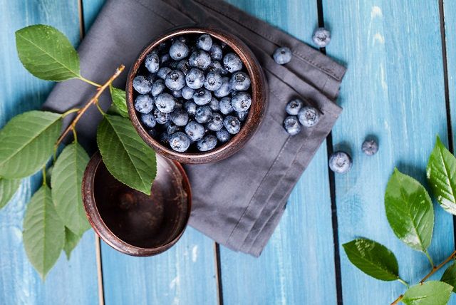bigstock Freshly picked blueberries in 148882745