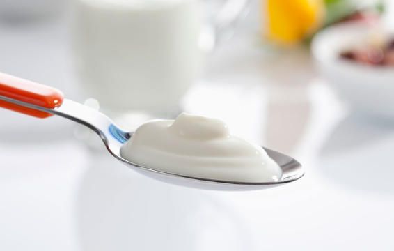 fertilityfood dairy 1000