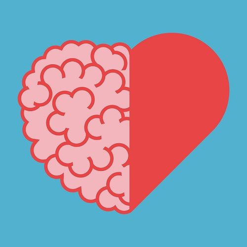 bigstock Brain And Heart United 174572404