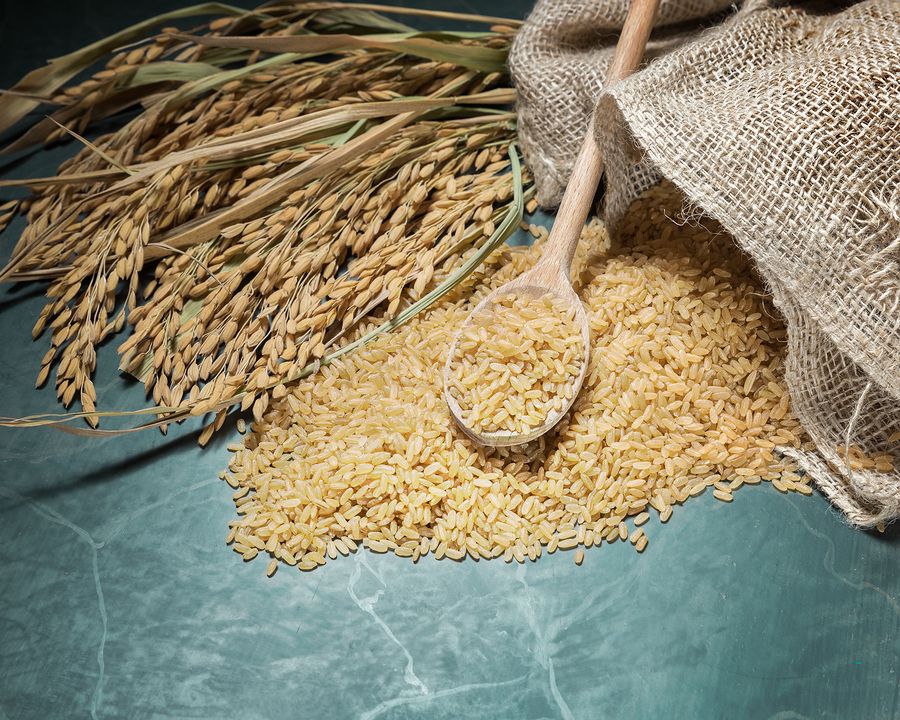 rice 2